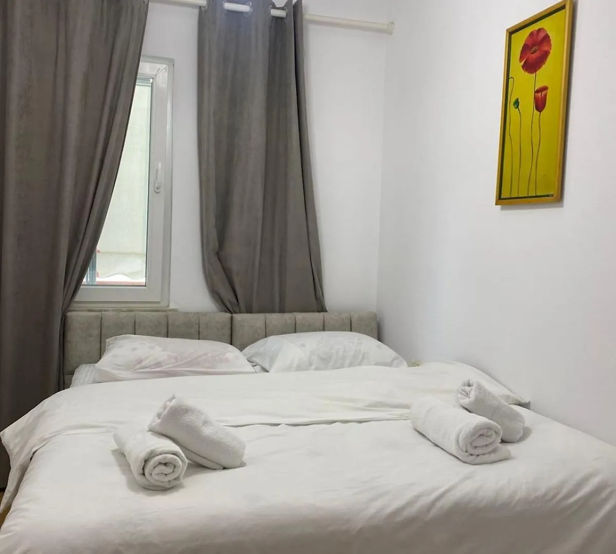 Juli'S Pazari Nest Apartment Tirana